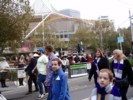 A_COLLIE_113.jpg