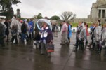 A_COLLIE_159.jpg