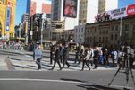A_COLLIE_421.jpg