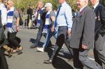 A_COLLIE_432.jpg