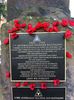 C_SANDELL_1555.jpg