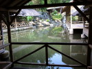 C_SANDELL_1068.jpg