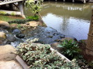 C_SANDELL_1070.jpg