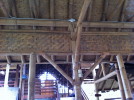 C_SANDELL_1075.jpg