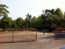 C_SANDELL_1086.jpg