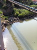 C_SANDELL_1119.jpg