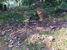 C_SANDELL_1199.jpg