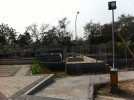 C_SANDELL_1247.jpg