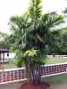 C_SANDELL_1317.jpg