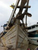 C_SANDELL_1341.jpg