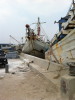 C_SANDELL_1342.jpg