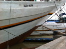 C_SANDELL_1345.jpg