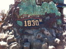 C_SANDELL_558.jpg
