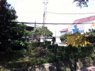 C_SANDELL_860.jpg
