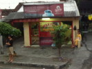 C_SANDELL_982.jpg