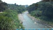 C_SANDELL_1993.jpg