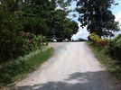 C_SANDELL_2094.jpg