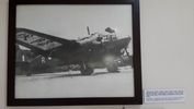 C_SANDELL_2151.jpg