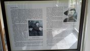 C_SANDELL_2365.jpg