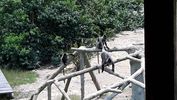C_SANDELL_2698.jpg