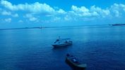 C_SANDELL_2734.jpg