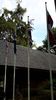 C_SANDELL_2821.jpg