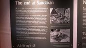 C_SANDELL_2841.jpg