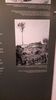 C_SANDELL_2842.jpg