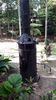 C_SANDELL_2883.jpg