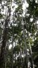 C_SANDELL_2896.jpg