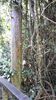 C_SANDELL_3019.jpg