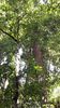 C_SANDELL_3022.jpg