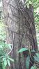 C_SANDELL_3052.jpg
