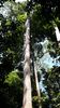 C_SANDELL_3053.jpg