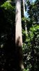 C_SANDELL_3054.jpg