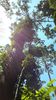 C_SANDELL_3056.jpg