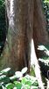 C_SANDELL_3058.jpg