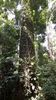 C_SANDELL_3060.jpg