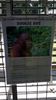 C_SANDELL_3078.jpg