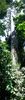 C_SANDELL_3091.jpg