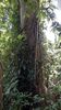 C_SANDELL_3093.jpg