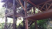 C_SANDELL_3098.jpg