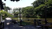 C_SANDELL_3101.jpg