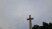 C_SANDELL_3200.jpg