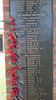 C_SANDELL_3262.jpg
