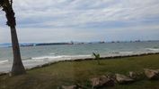 C_SANDELL_3299.jpg