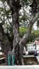 C_SANDELL_3317.jpg