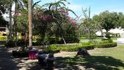 C_SANDELL_3357.jpg