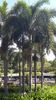 C_SANDELL_3399.jpg