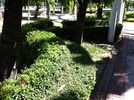C_SANDELL_3410.jpg